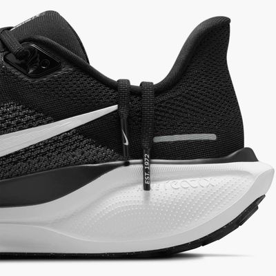 Nike Pegasus 41