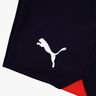 Puma LDU Aniversario 2024