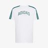 adidas Polo Codes Collegiate Linear Graphic