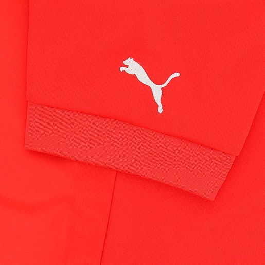 Puma Camiseta Local Suiza 2022
