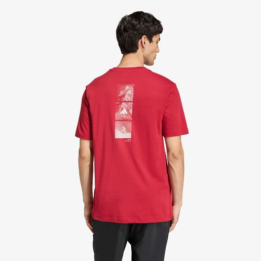 adidas Camiseta Graphic Outdoor Mountain Biking