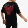 NBA Chicago Bulls