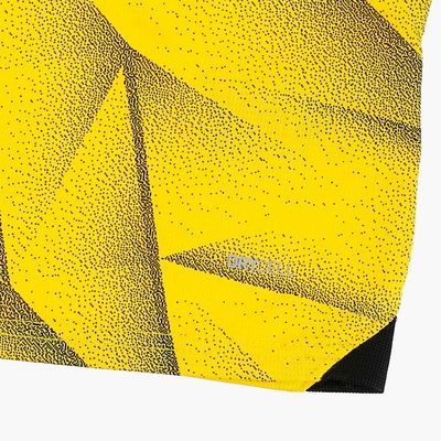 Puma Camiseta Borussia Dortmund Alterna 23/24