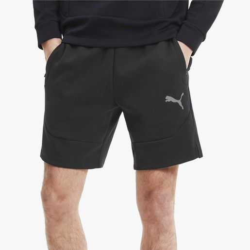 Puma Evostripe