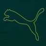 Puma Performance Cat