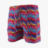 Speedo Rainbow Wave