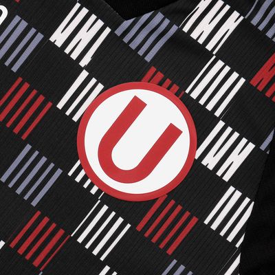 Camiseta Manga Larga Universitario 101 Años Arquer
