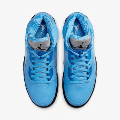 Air Jordan 5 Retro SE