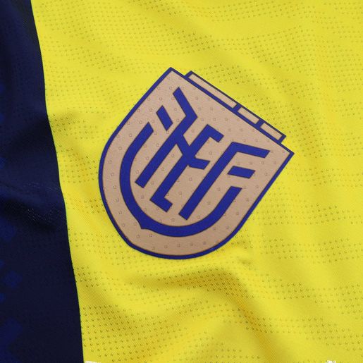 Marathon Sports Camiseta Oficial Copa América FEF