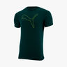 Puma Performance Cat