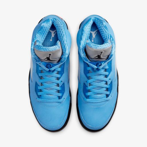 Air Jordan 5 Retro SE