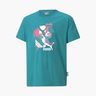 Puma Fandom