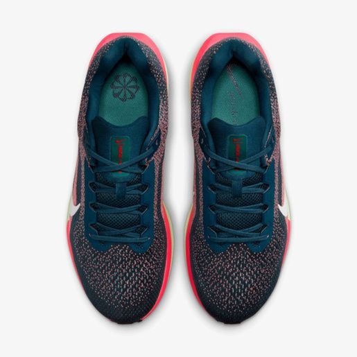 Nike Winflo 11