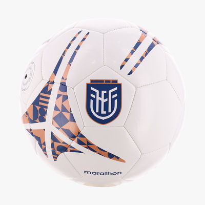 FEF Pelota Mundial 2026