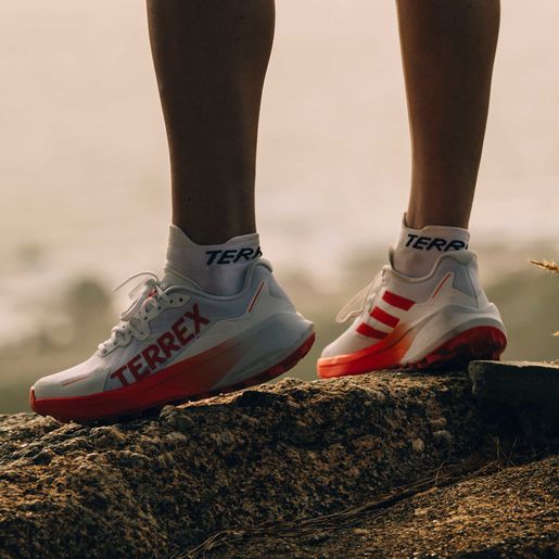 adidas Terrex Agravic 3