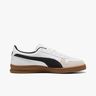 Puma Indoor