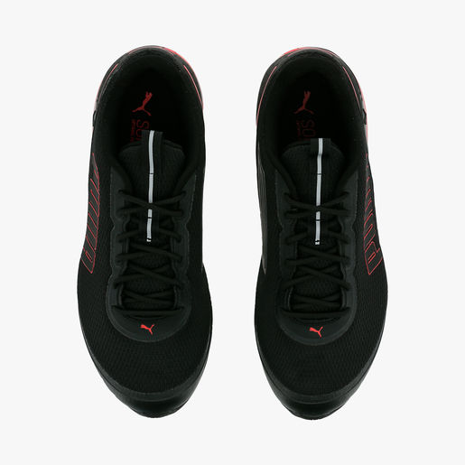 Puma Cell Divide
