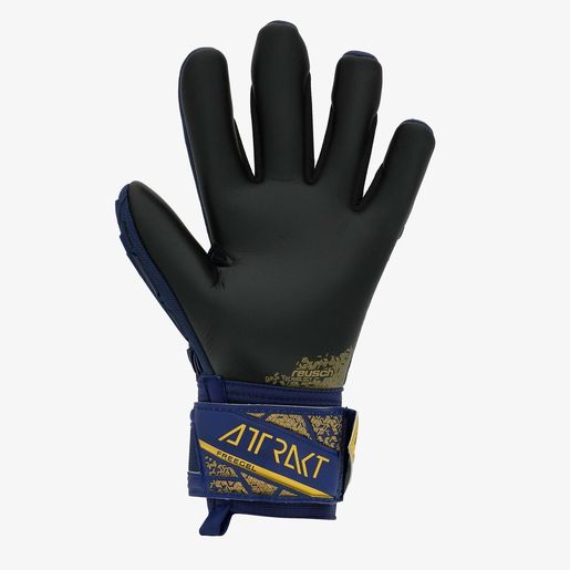 Reusch Attrakt Freegel