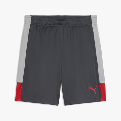 Puma Short IndividualLIGA