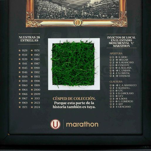 Césped Colección Cuadro Monumental U Marathon