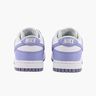 Nike Dunk Low Next Nature
