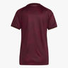 adidas Camiseta Venezuela 26 Local