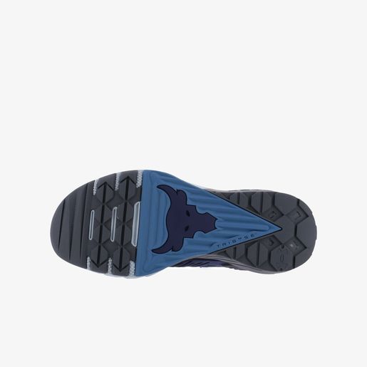 Under Armour Project Rock 3