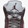Air Jordan 5 Retro SE