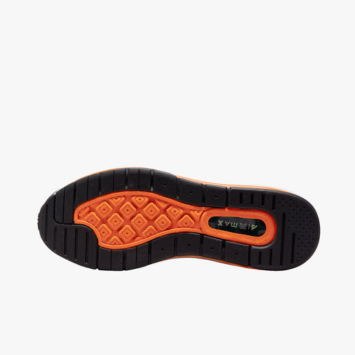 Nike Air Max Genome