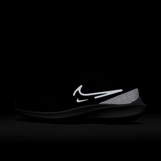 Nike Pegasus 39 Shield