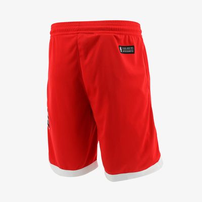 NBA Short Bulls