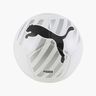 Puma Big Cat