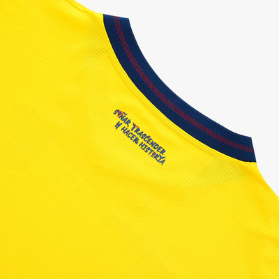 Camiseta FEF Mundial 2026