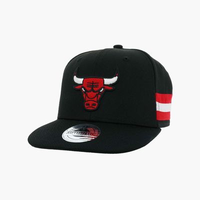 NBA Bulls