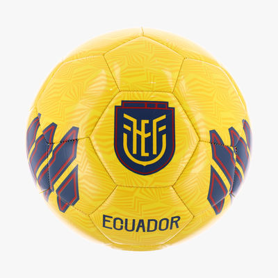 FEF Pelota Mundial 2026