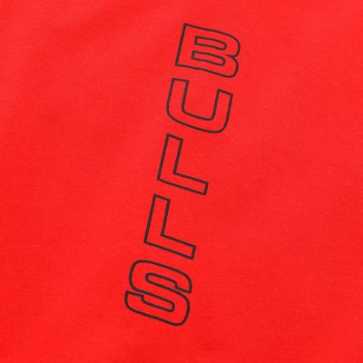 NBA Casaca Bulls