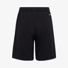 adidas Shorts Entrada 22