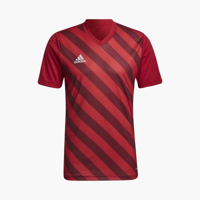 adidas Entrada 22 Graphic