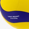Mikasa V330W Competition FIVB