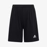 adidas Shorts Entrada 22