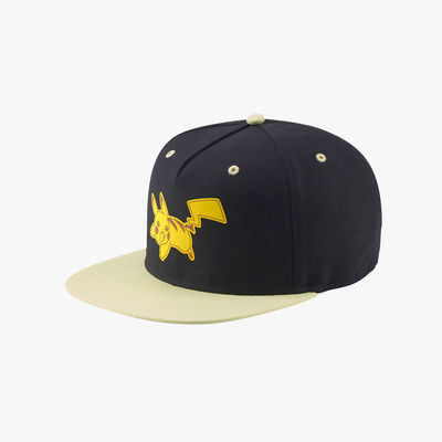 Puma X Pokémon