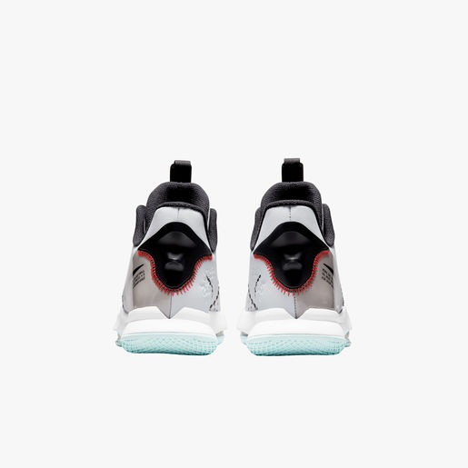 LeBron Witness 5