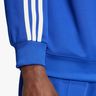adidas Adicolor