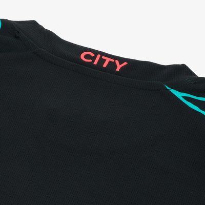 Puma Camiseta Manchester City Alterna 23/24