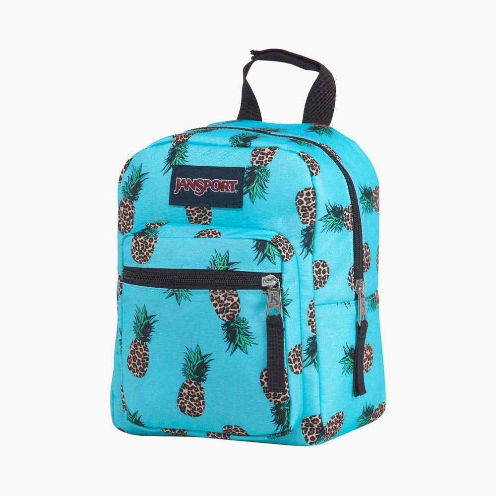 Buy Jansport Big Break Lunch Bag in Singapore & Malaysia - The Wallet Shop
