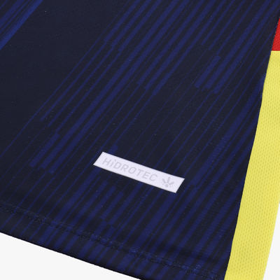 Marathon Sports Camiseta Alterna 2 Copa América FE