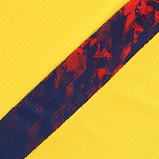 Camiseta Hincha FEF Mundial 2026