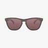 Oakley Frogskins