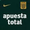 Nike Camiseta Estampada Alianza Lima 2024 Visita