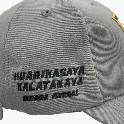 The Strongest Gorra La Fuerza Del Tigre